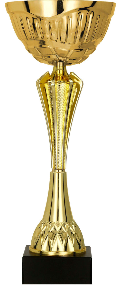 Pokal Wolfsburg